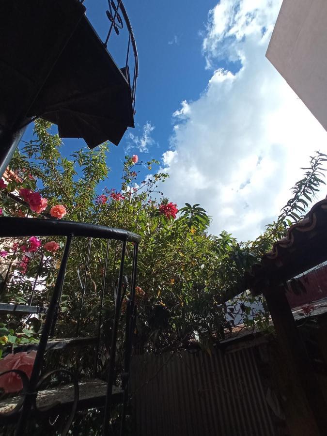 San Cristóbal de Las Casas Kaza Muta Bed & Breakfast エクステリア 写真