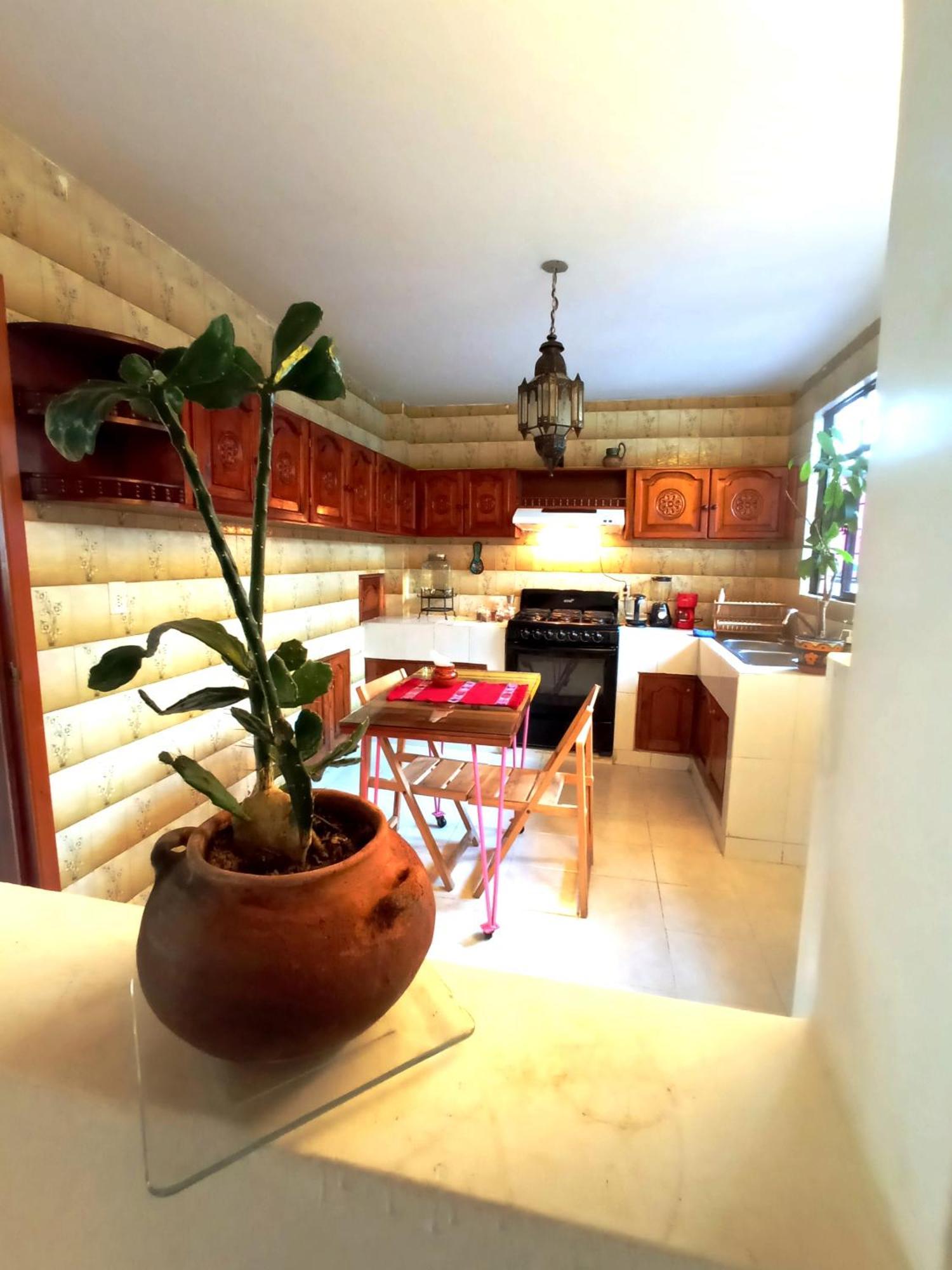 San Cristóbal de Las Casas Kaza Muta Bed & Breakfast エクステリア 写真